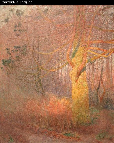 Emile Claus Tree in the Sun